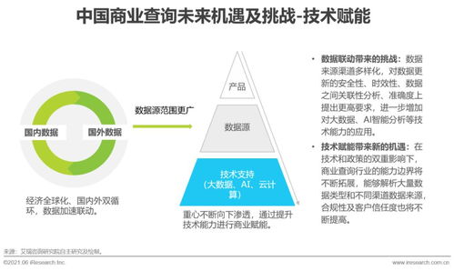 2021年中國商業查詢發展研究報告