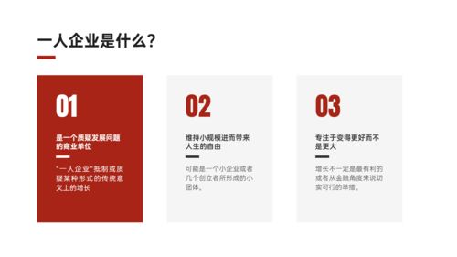 馬蜂咨詢品牌課程 一人企業(yè) 一個(gè)人也能賺錢的新商業(yè)模式